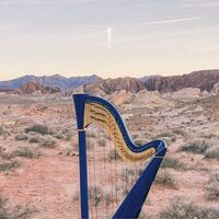 Lara Somogyi - ! vinyl cover