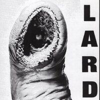 Lard - Power of Lard vinyl cover