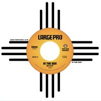Large Professor - In The Sun vinyl cover