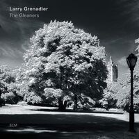 Larry Grenadier - The Gleaners vinyl cover
