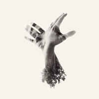 Last Dinosaur - Nothing vinyl cover