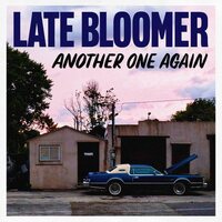 Late Bloomer - Another One Again vinyl cover
