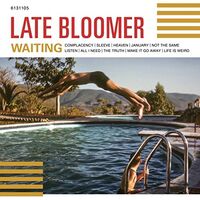 Late Bloomer - Waiting vinyl cover