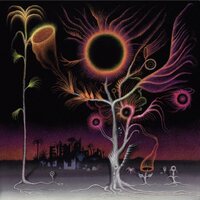 Laura Agnusdei - Flowers Are Blooming In Antarctica vinyl cover