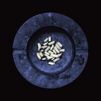 Laura Jane Grace - Stay Alive vinyl cover