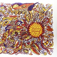 Laura Marling - Alas I Cannot Swim vinyl cover
