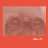 Laura Martin J - Prepared (Rose) vinyl cover