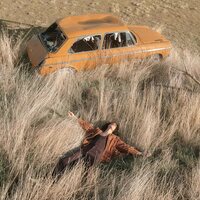 LAWRENCE ROTHMAN - THE PLOW THAT BROKE THE PLAINS vinyl cover