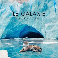 Le Galaxie - Pleasure vinyl cover