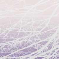 Lea Bertucci - Metal Aether vinyl cover