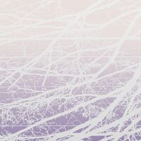 Lea Bertucci - Metal Aether vinyl cover