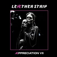 Leather Strip & Appreciation - Appreciation VII vinyl cover