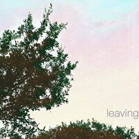 Leaving - Leaving vinyl cover