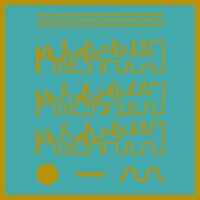 Lee Evans - Animist Pools vinyl cover