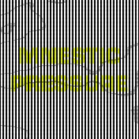 Lee Gamble - Mnestic Pressure vinyl cover