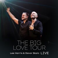 Lee Harris - The Big Love Tour Live vinyl cover