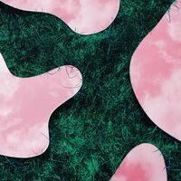 Lee Paradise - & Co vinyl cover