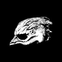 Legend Of The Seagullmen - Legend Of The Seagullmen vinyl cover