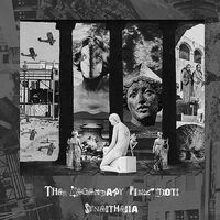 Legendary Pink Dots - Synesthesia vinyl cover