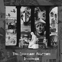Legendary Pink Dots - Synesthesia vinyl cover