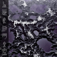 Leibniz - Online vinyl cover