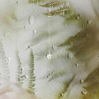 Leif - Loom Dream vinyl cover