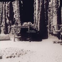 Leifur James - Angel In Disguise vinyl cover