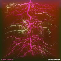Leifur James - Magic Seeds vinyl cover