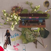 Leila - Courtesy of Choice ۲۵... asides and besides (25th Anniversary) vinyl cover