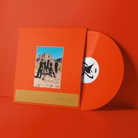 Leisure - Welcome to the Mood vinyl cover