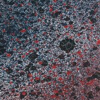 Leitmotiv Limbo - Superior State vinyl cover