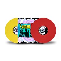 Lemon Demon - Damn Skippy vinyl cover