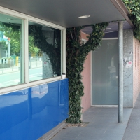 Len Leise - Ing vinyl cover