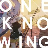Lena Raine - Reknowing vinyl cover