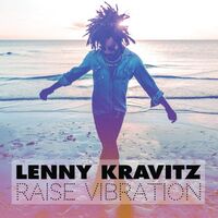 Lenny Kravitz - Raise Vibration Picture vinyl cover