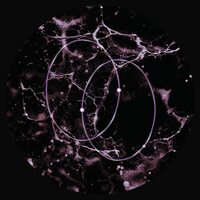 Leo Len - Echolocation vinyl cover