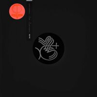 Leon Vynehall - I, Cavallo vinyl cover