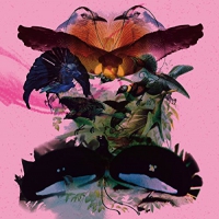 Leon Vynehall - Rojus vinyl cover