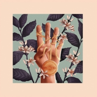 Leoniden - Leoniden Limited vinyl cover