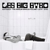 Les Big Byrd - Kattguld (The Pnkslm Singles Volume 1 2014-2018) vinyl cover