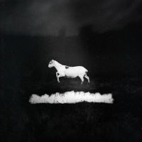 Les Discrets - Predateurs vinyl cover
