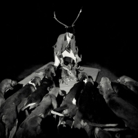 Les Marquises - Night Full Of Collapses vinyl cover