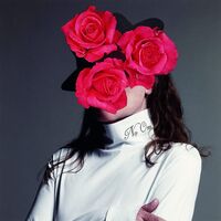 Leslie Winer - When I Hit You - You'll Feel It vinyl cover