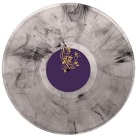 Lesterr - 2 Jahre Dazwischen vinyl cover