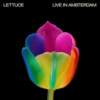Lettuce - Live In Amsterdam vinyl cover