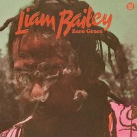Liam Bailey - Zero Grace vinyl cover