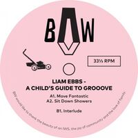 Liam Ebbs - A Child's Guide To Groove vinyl cover