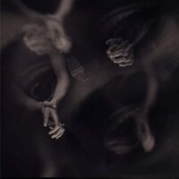 Liberez - Way Through Vulnerability vinyl cover