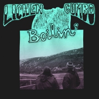 Lichen Gumbo - Boilin vinyl cover