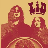 Lid - In The Mushroom vinyl cover